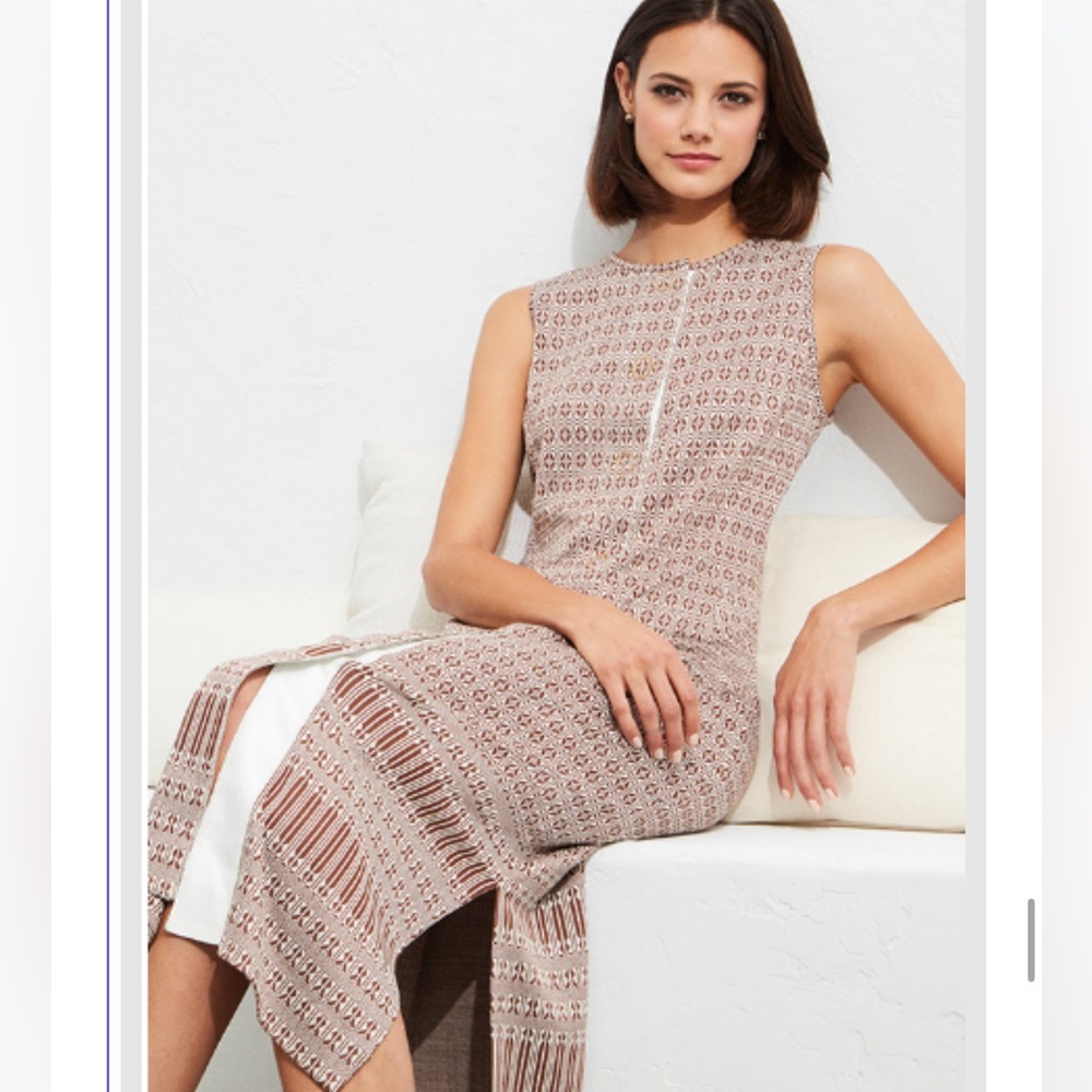 NWT Carlisle Per Se Eclair dress